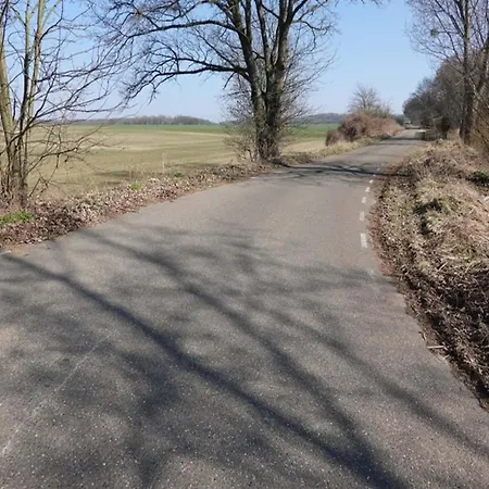 In Near Bemelerberg Reserve Vakantiehuis