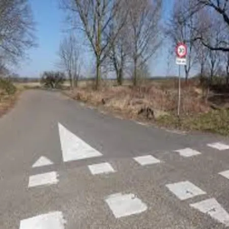 In Near Bemelerberg Reserve Vakantiehuis *