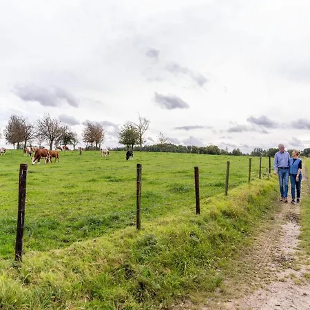 In Near Bemelerberg Reserve Bemelen
