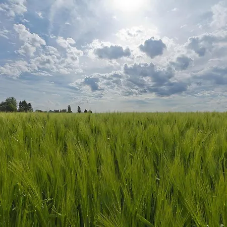 In Near Bemelerberg Reserve * Bemelen
