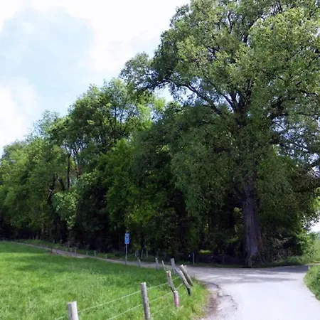 In Near Bemelerberg Reserve *