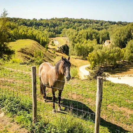 Vakantiehuis In Near Bemelerberg Reserve *