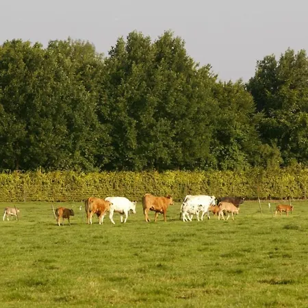 In Near Bemelerberg Reserve