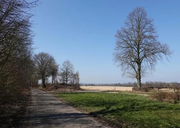 In Near Bemelerberg Reserve