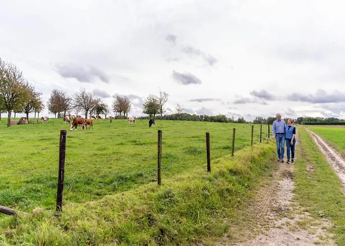 In Near Bemelerberg Reserve Bemelen