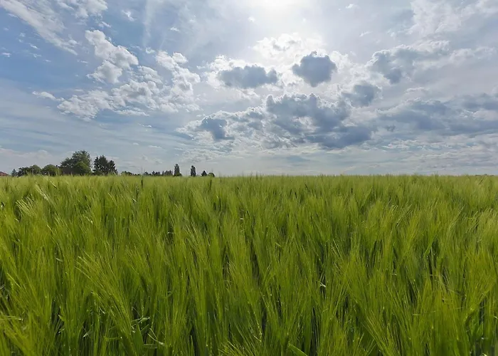 In Near Bemelerberg Reserve * Bemelen