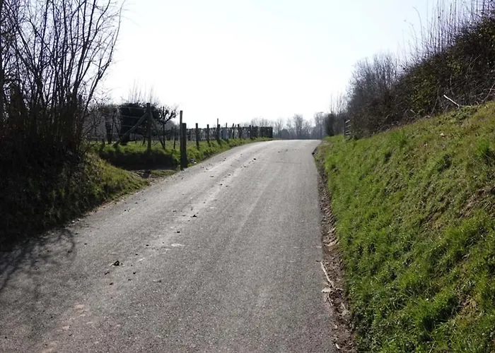 In Near Bemelerberg Reserve Holiday home