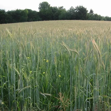بيت للعطل In Near Bemelerberg Reserve بيميلين