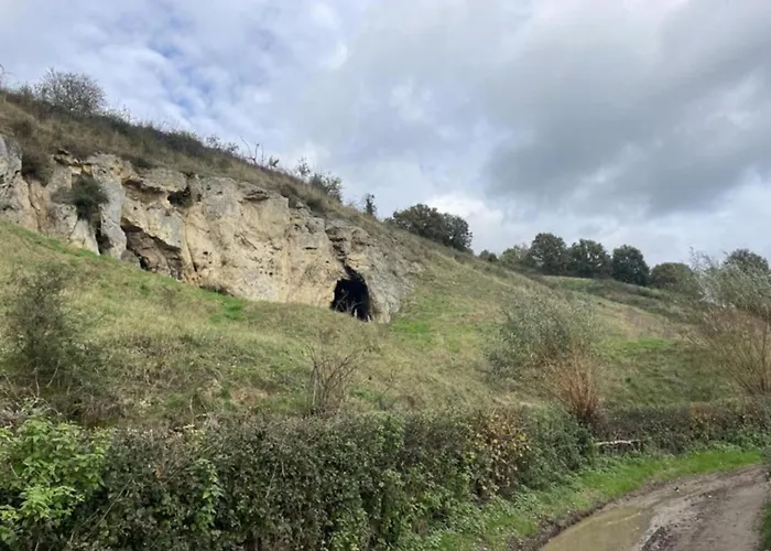 Ferienhaus In Near Bemelerberg Reserve