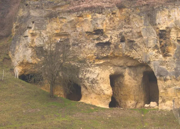 Ferienhaus In Near Bemelerberg Reserve *