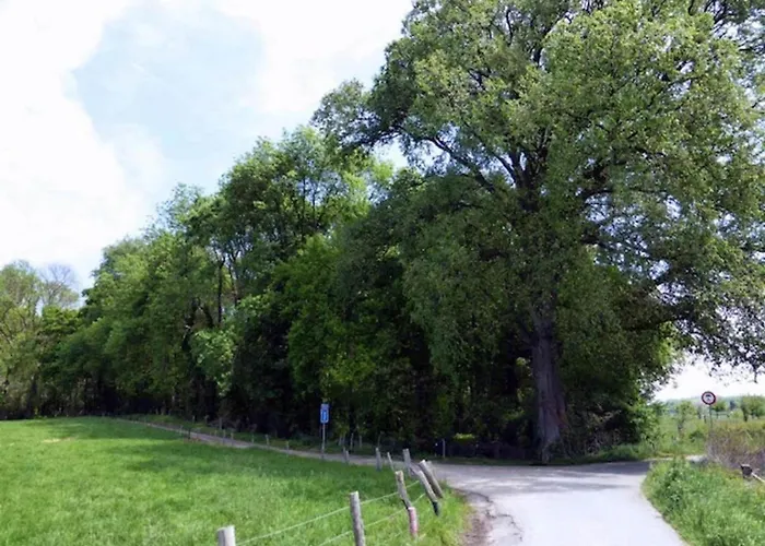 In Near Bemelerberg Reserve *