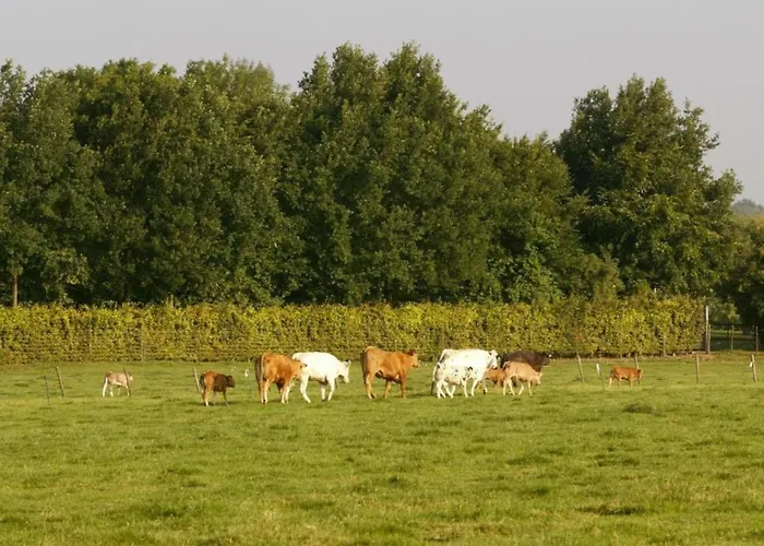In Near Bemelerberg Reserve